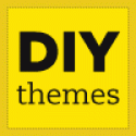 diy themes logo