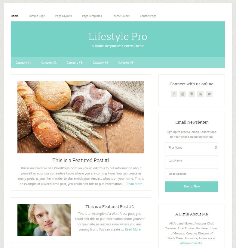 Lifestyle Theme from Studio Press